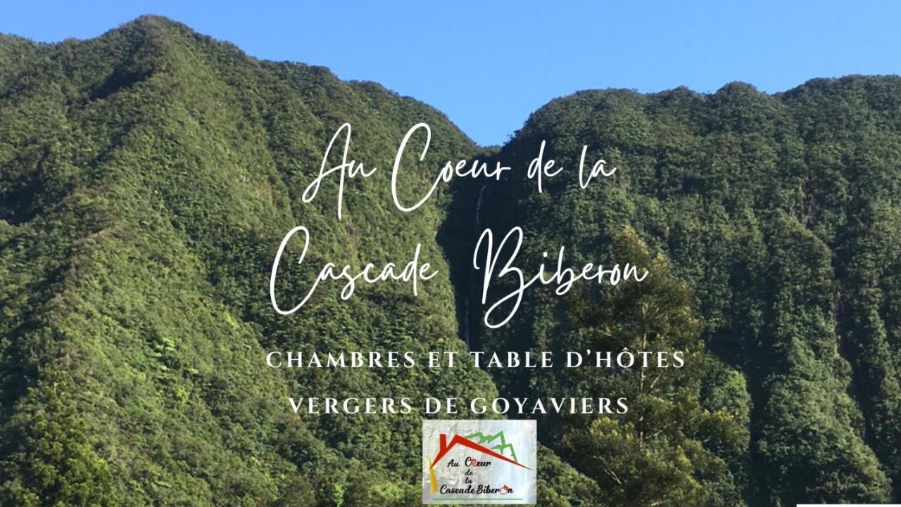 Au Coeur De La Cascade Biberon Bed & Breakfast ลาแปลน เดส์ ปาล์มิสต์ ภายนอก รูปภาพ